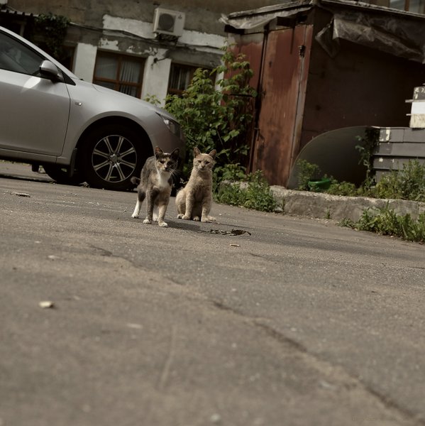 Image DSC_1394_ready.jpg