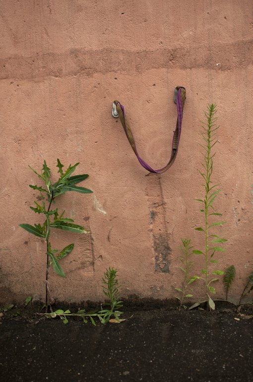 Image DSC_1399_ready.jpg