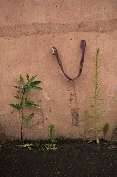 Image DSC_1399_ready.jpg