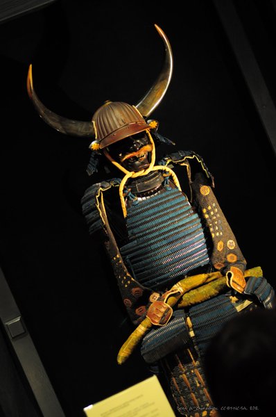 Image DSC_0007_ready.jpg