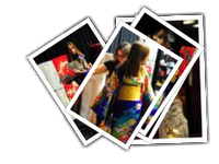 Samurai album picture