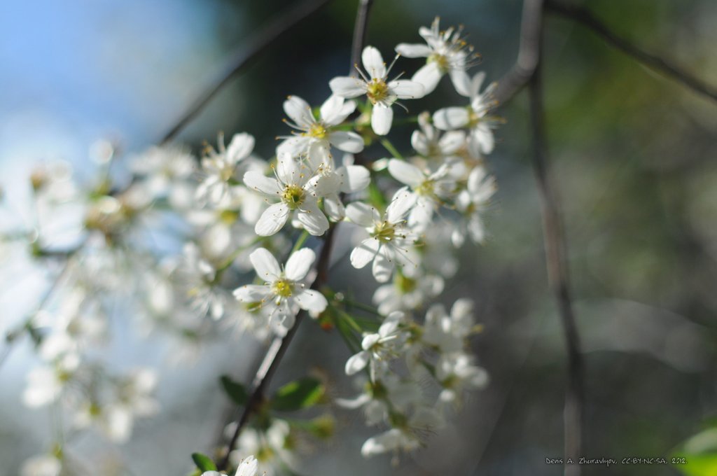 Image 2012-05-26-010_ready.jpg