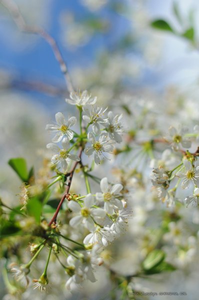 Image 2012-05-26-011_ready.jpg