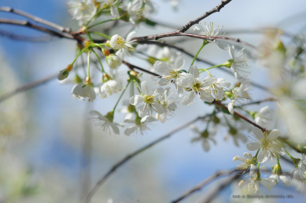 Image 2012-05-26-013_ready.jpg