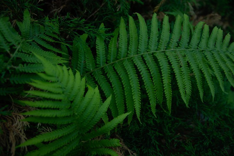 Image DSC_1095_ready.jpg