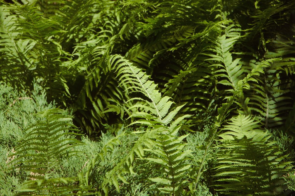 Image DSC_1098_ready.jpg