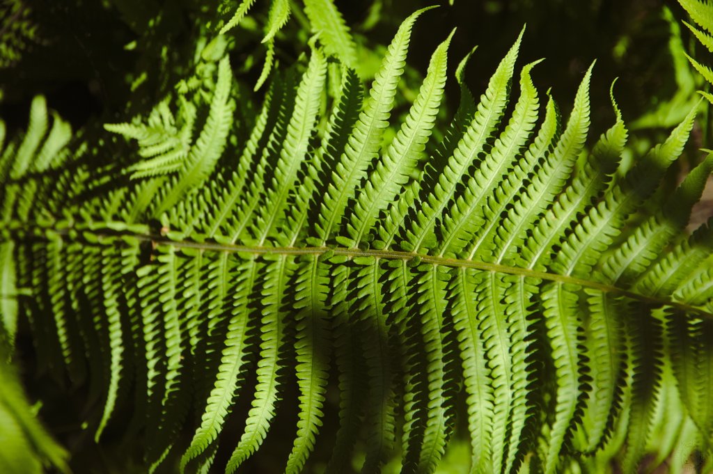 Image DSC_1099_ready.jpg