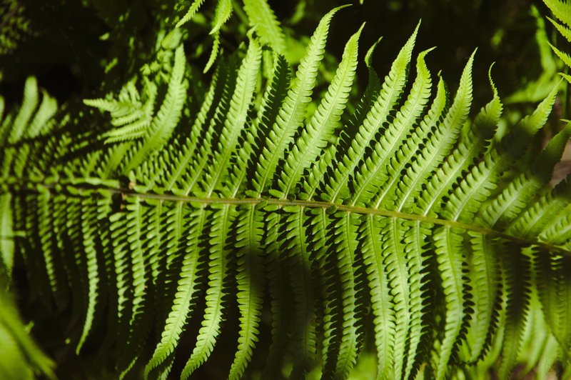 Image DSC_1099_ready.jpg