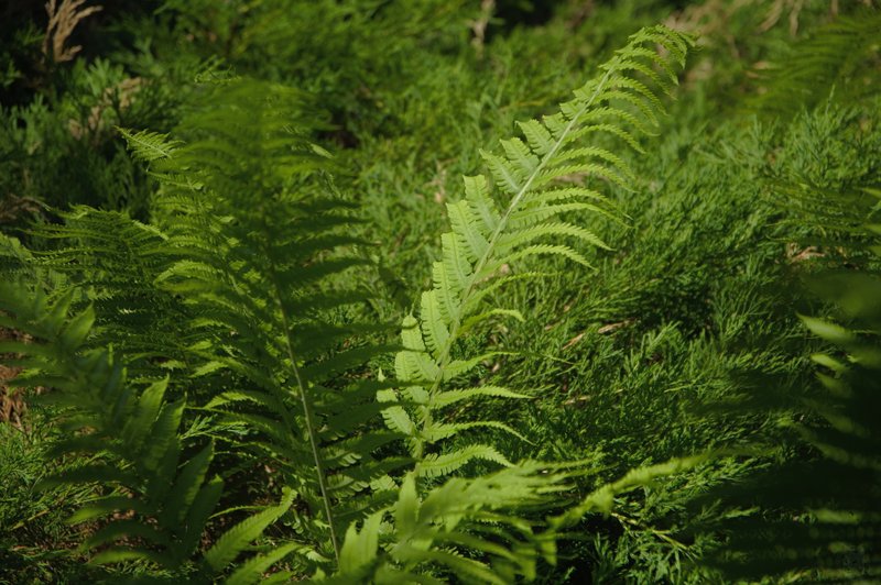 Image DSC_1101_ready.jpg