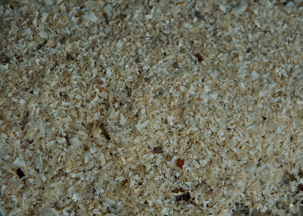 Image DSC_1114_ready.jpg