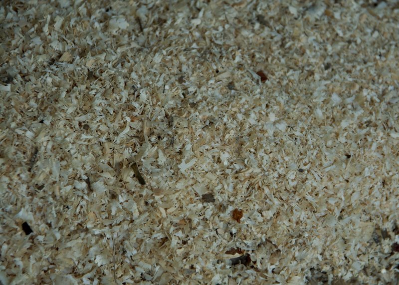 Image DSC_1114_ready.jpg