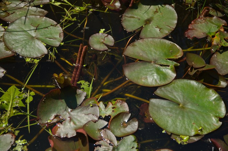 Image DSC_1124_ready.jpg