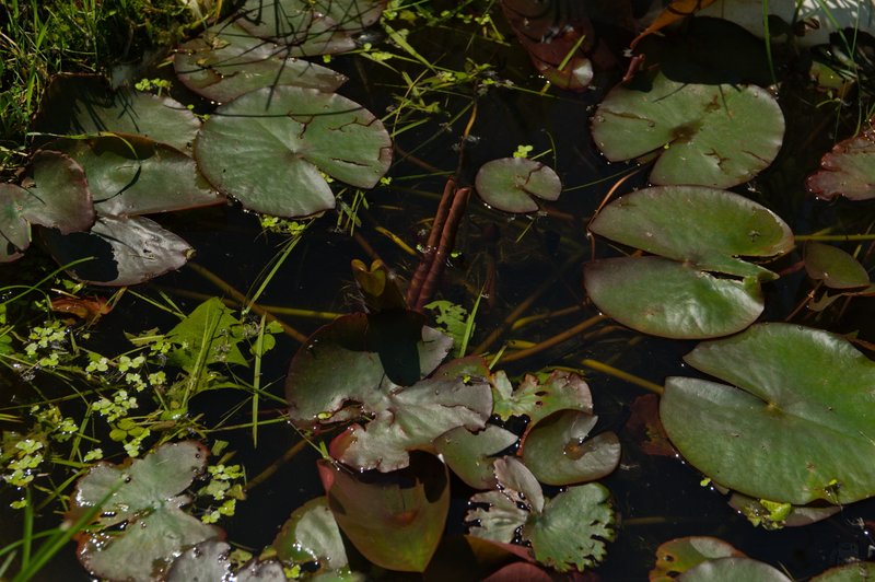 Image DSC_1125_ready.jpg