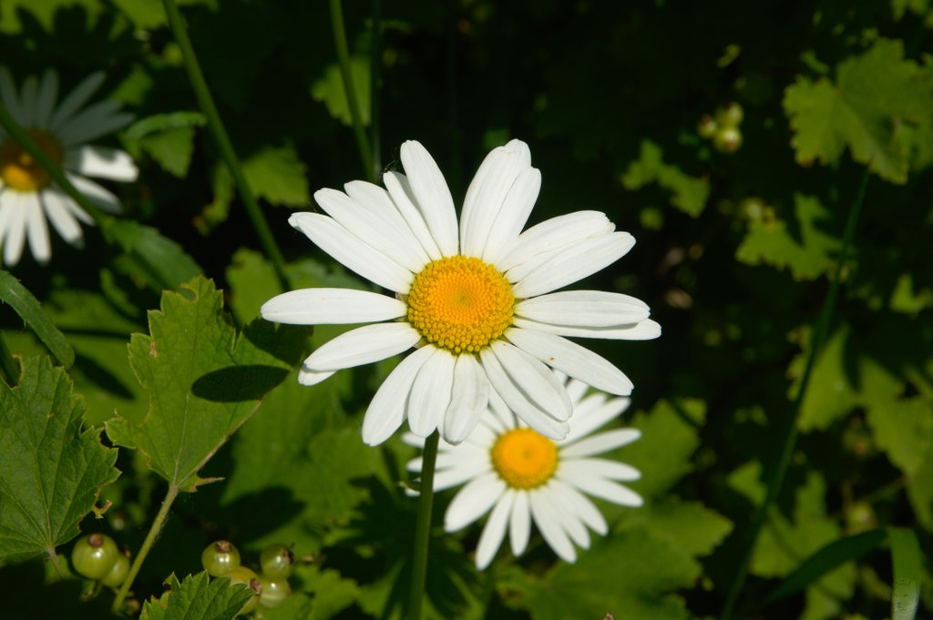 Image DSC_1134_ready.jpg