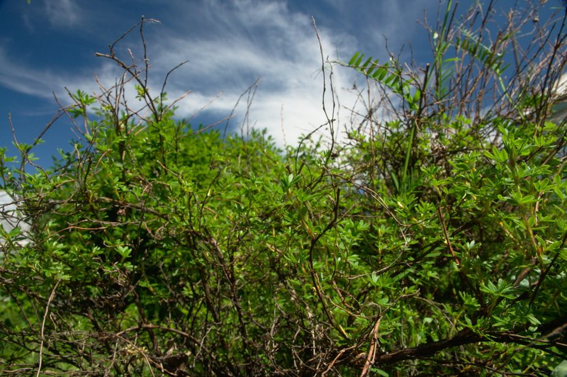 Image DSC_1138_ready.jpg