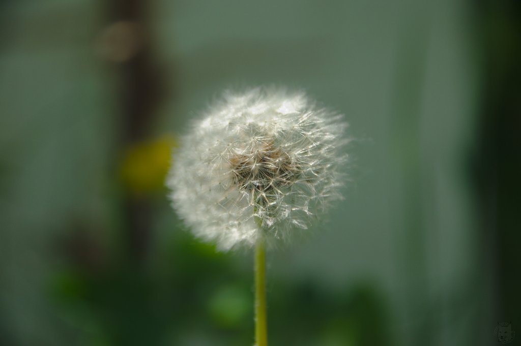 Image DSC_1145_ready.jpg