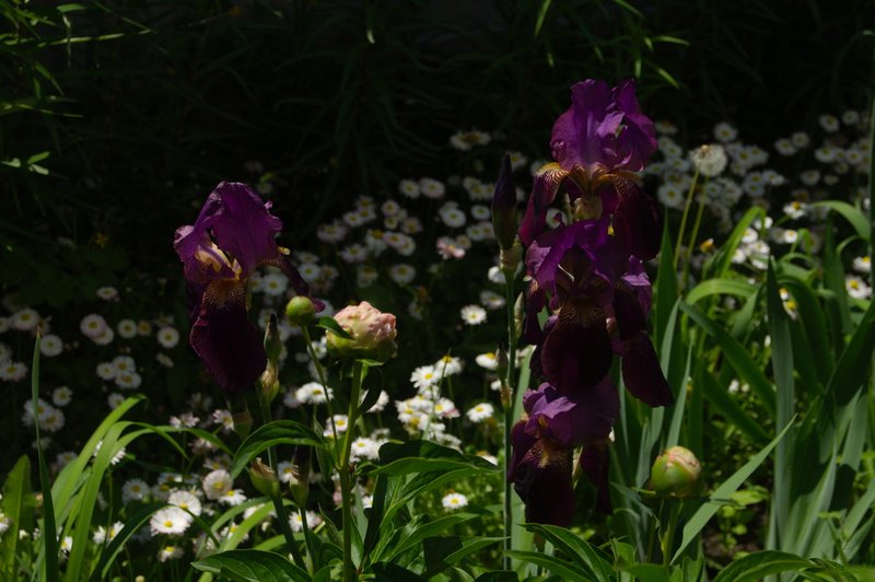 Image DSC_1164_ready.jpg