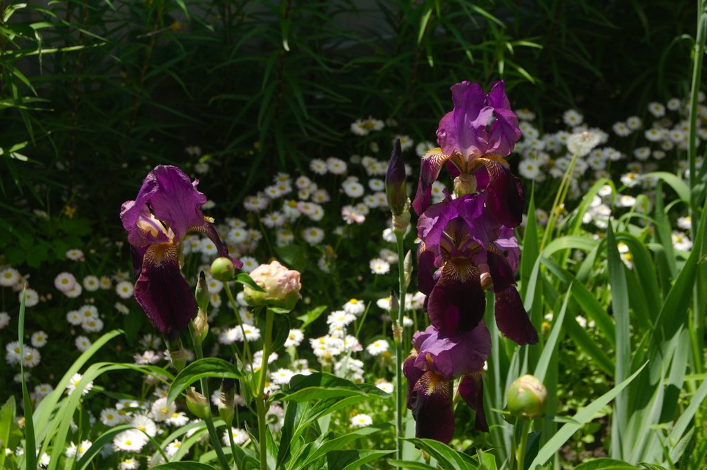 Image DSC_1165_ready.jpg