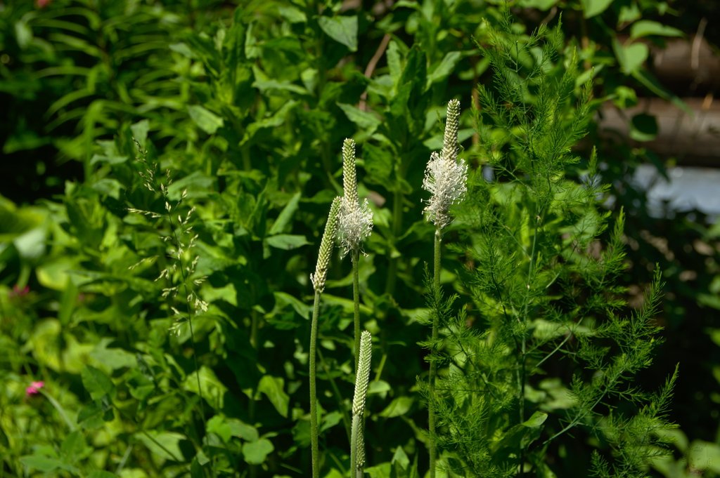 Image DSC_1166_ready.jpg