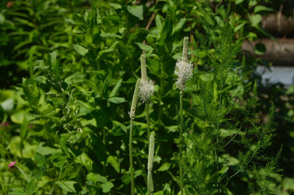 Image DSC_1167_ready.jpg