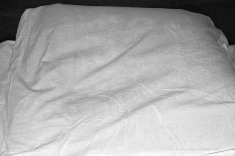 Image Task02Day05_aa_ready.jpg