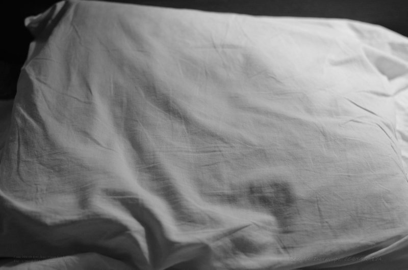 Image Task02Day06_ready.jpg