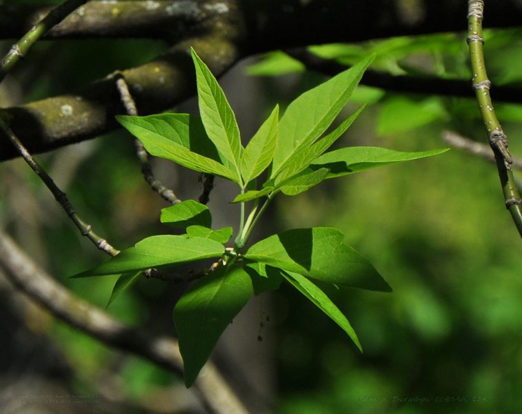 Image Task08_Contrast05_LightAndDark_ready.jpg