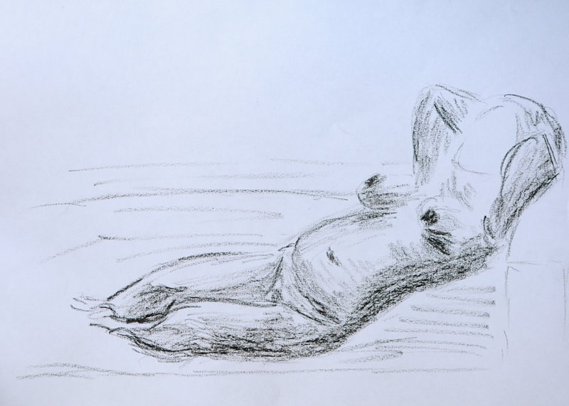 Image DSC_0149_ready.jpg