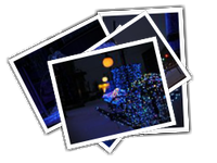 2014 New Year Morning album picture