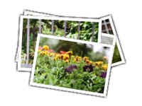 35 mm film scans album picture