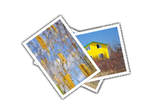 In the couuntry album picture