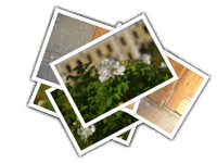 Moscow album picture