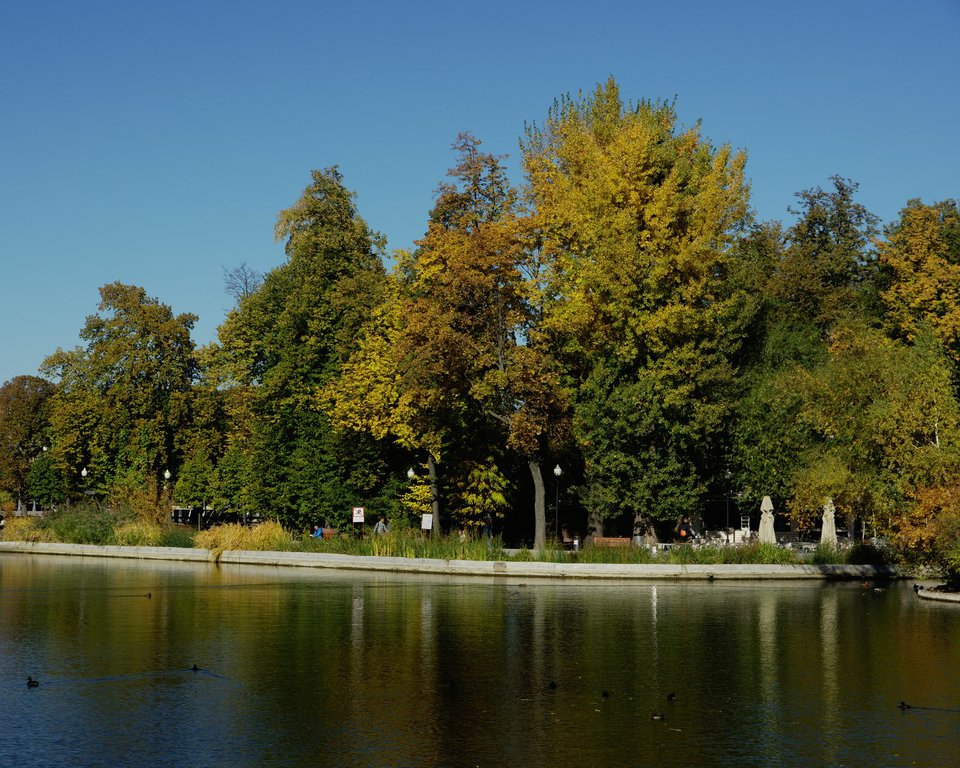 Image 2018-10-11_0003.jpg