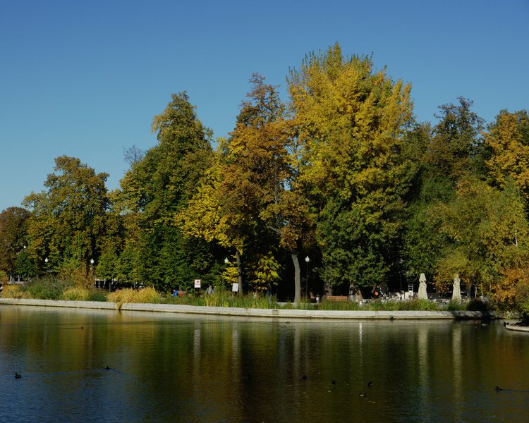 Image 2018-10-11_0003.jpg