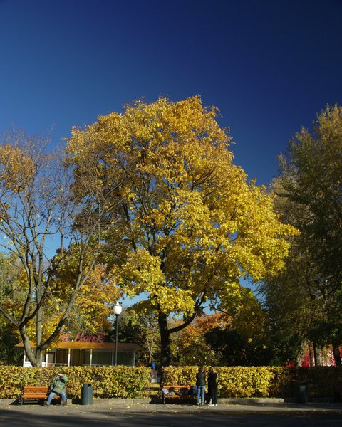 Image 2018-10-11_0004.jpg