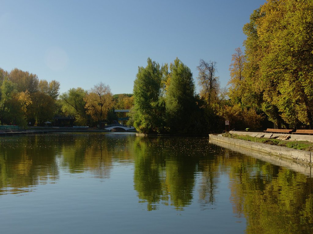 Image 2018-10-11_0005.jpg