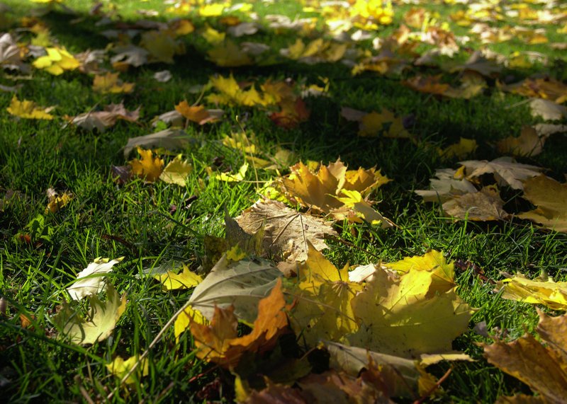 Image 2018-10-11_0012.jpg