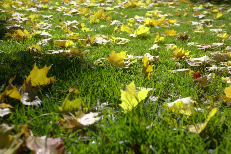 Image 2018-10-11_0013.jpg