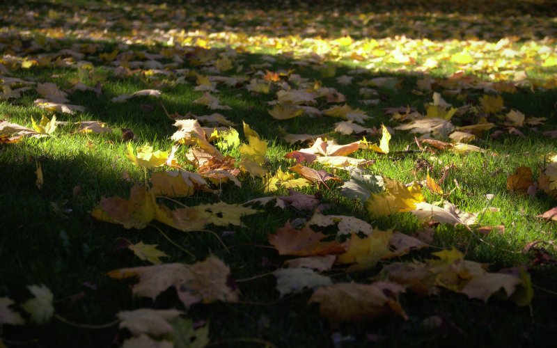 Image 2018-10-11_0014.jpg