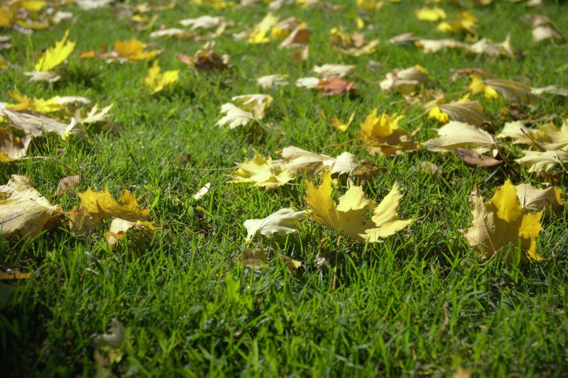 Image 2018-10-11_0015.jpg