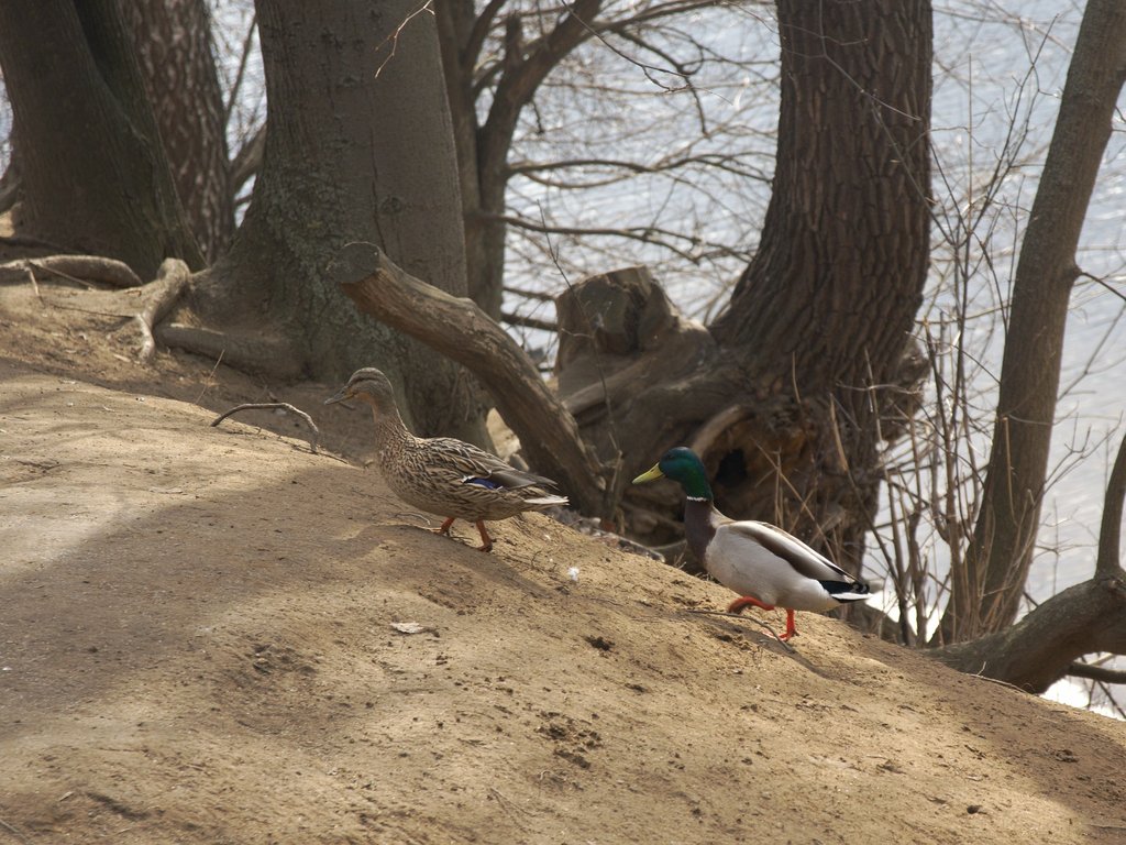 Image _DSC1293_ready.jpg