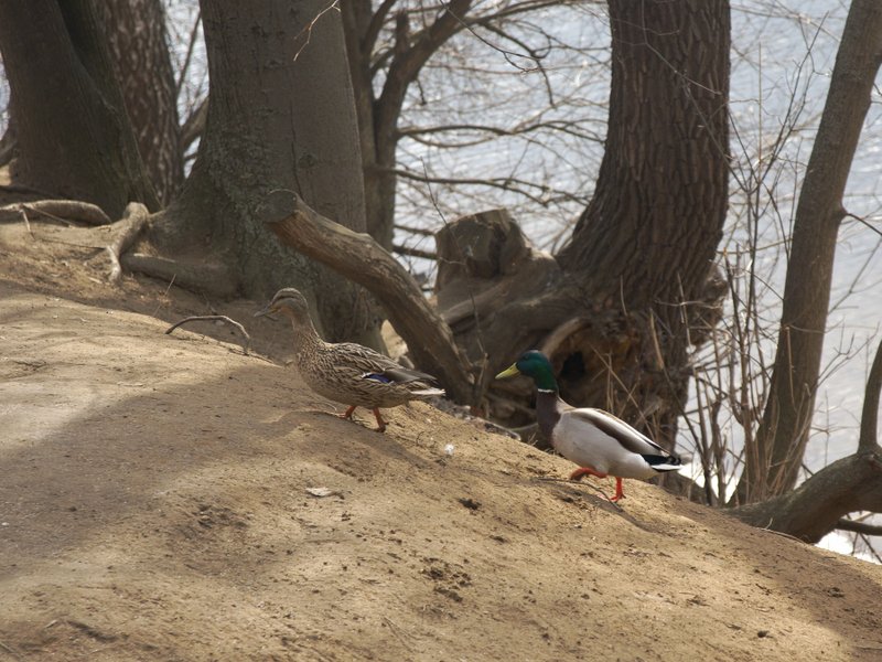 Image _DSC1293_ready.jpg