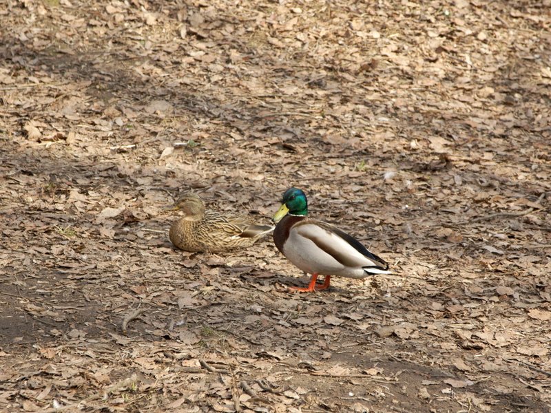 Image _DSC1300_ready.jpg