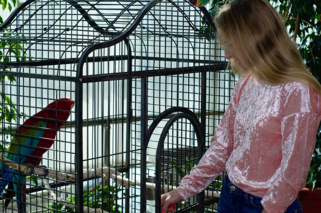 Image DSC_0629_ready.jpg