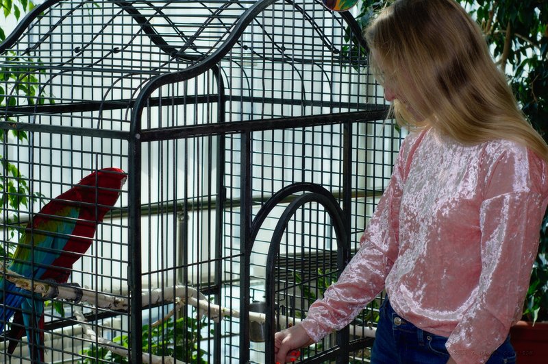 Image DSC_0629_ready.jpg