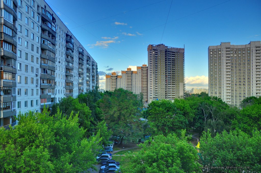 Image 0001_2012-05-31_23-29_D90.jpg