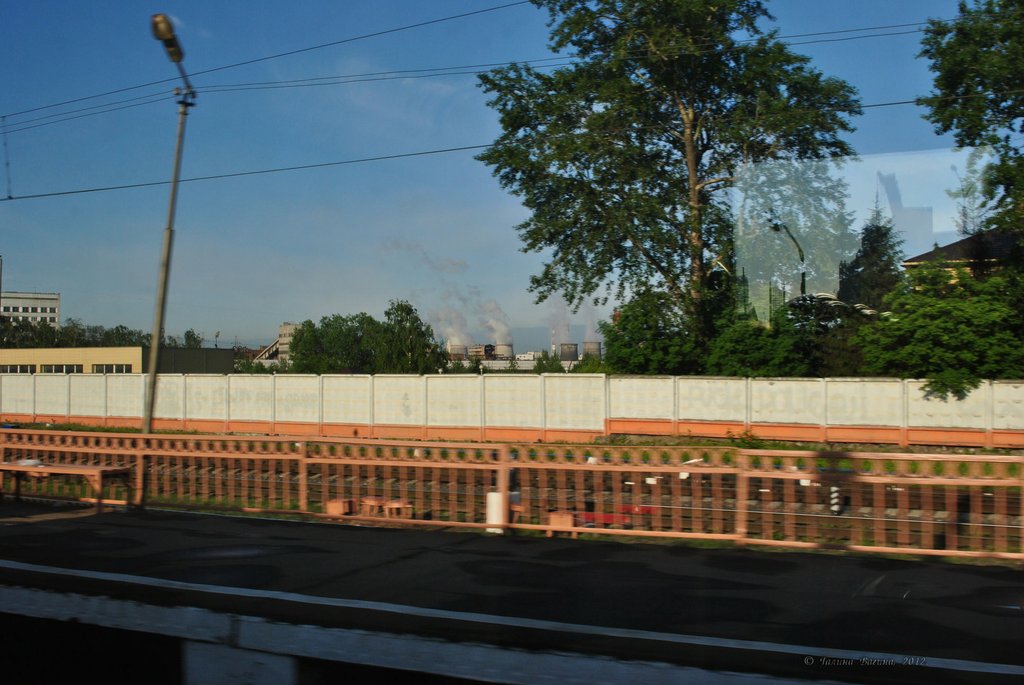 Image 0010_2012-06-01_10-20_D3000.jpg