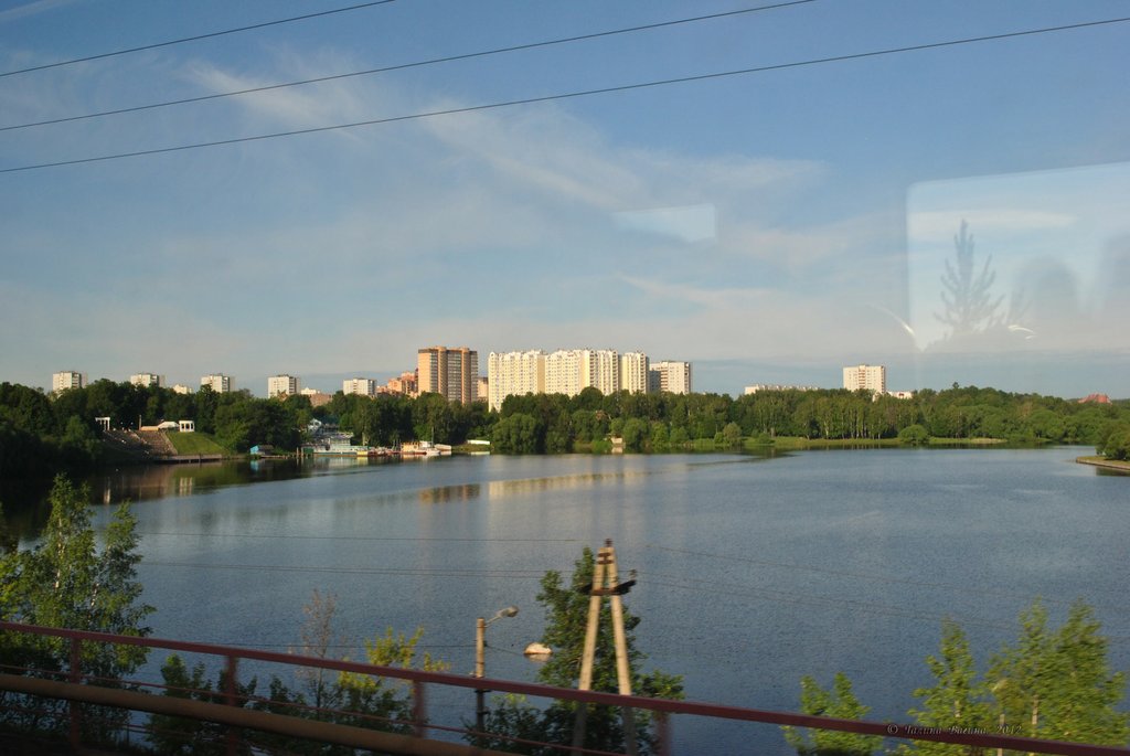 Image 0011_2012-06-01_10-25_D3000.jpg