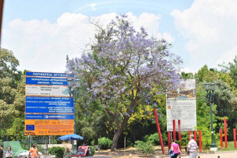 Image 0028_2012-06-01_18-08_D3000.jpg