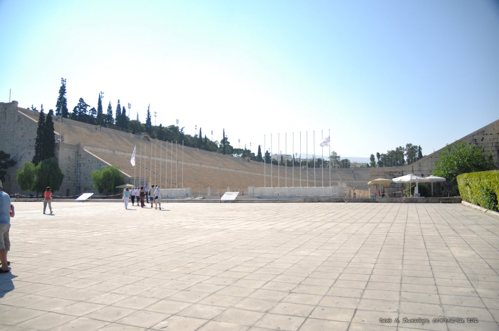 Image 0064_2012-06-02_13-37_D90.jpg